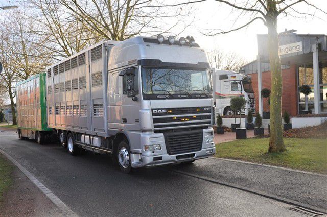 DAF XF II: 9 фото