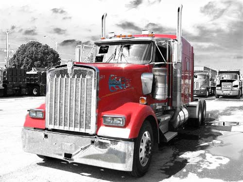 Kenworth W900: 11 фото